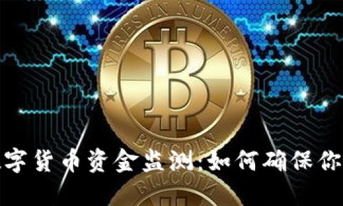 全面解读数字货币资金监测：如何确保你的资产安全