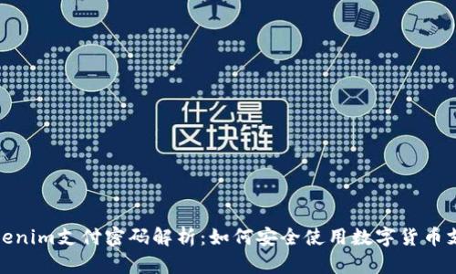 Tokenim支付密码解析：如何安全使用数字货币支付