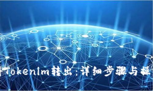 如何将Tokenim转出：详细步骤与操作指南