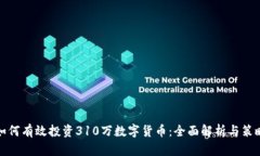 如何有效投资310万数字货