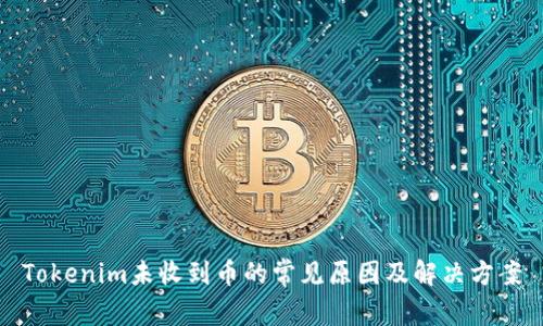 Tokenim未收到币的常见原因及解决方案