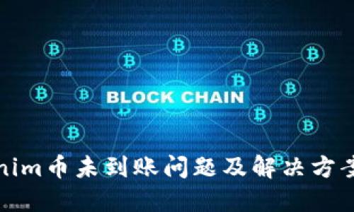 Tokenim币未到账问题及解决方案指南