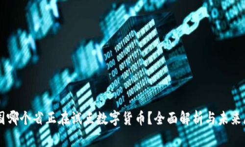 中国哪个省正在试点数字货币？全面解析与未来展望