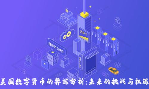   
美国数字货币的弊端分析：未来的挑战与机遇