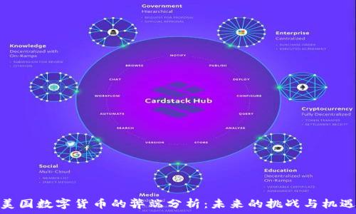   
美国数字货币的弊端分析：未来的挑战与机遇