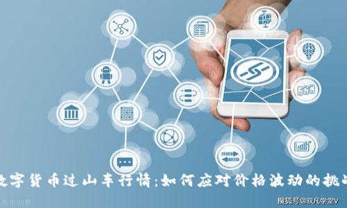 数字货币过山车行情：如何应对价格波动的挑战