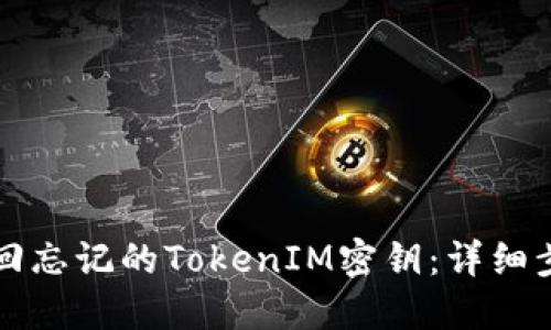 如何找回忘记的TokenIM密钥：详细步骤指南