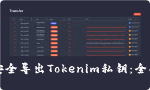 如何安全导出Tokenim私钥：全面指南