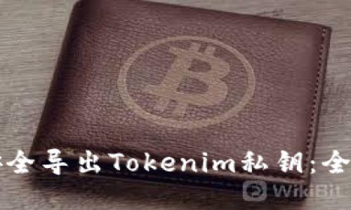 如何安全导出Tokenim私钥：全面指南