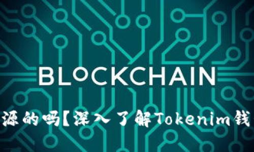 Tokenim钱包是开源的吗？深入了解Tokenim钱包的开发与安全性