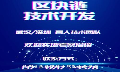 欧洲主流数字货币钱包全面分析