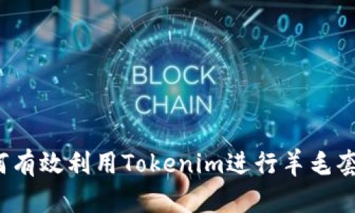 如何有效利用Tokenim进行羊毛套利？