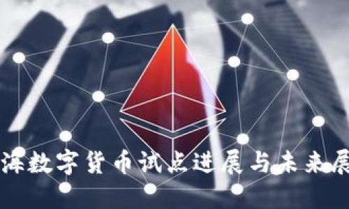 上海数字货币试点进展与未来展望