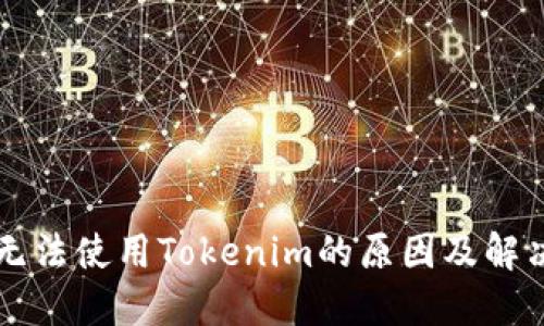 国内无法使用Tokenim的原因及解决方案