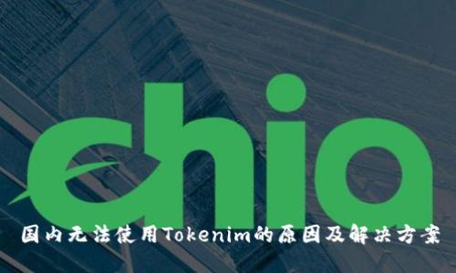 国内无法使用Tokenim的原因及解决方案