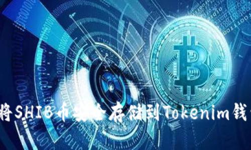 如何将SHIB币安全存储到Tokenim钱包中？