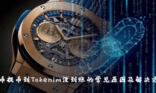 火币提币到Tokenim没到账的常见原因及解决方案