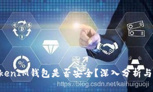 TokenTokenIM钱包是否安全？深入分析与风险揭示