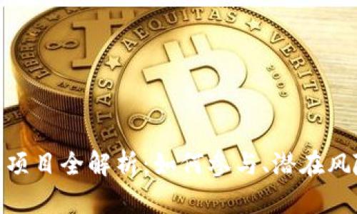 Tokenim ICO项目全解析：如何参与、潜在风险及投资回报