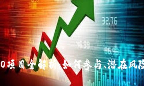 Tokenim ICO项目全解析：如何参与、潜在风险及投资回报
