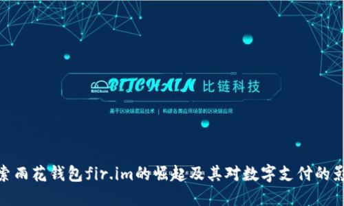 探索雨花钱包fir.im的崛起及其对数字支付的影响