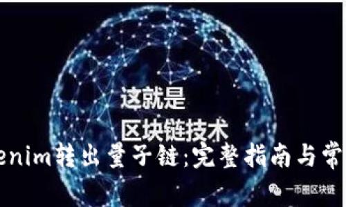 如何将Tokenim转出量子链：完整指南与常见问题解析