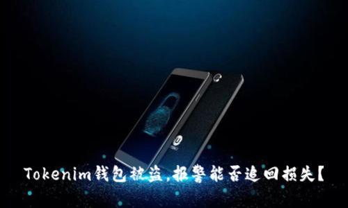 Tokenim钱包被盗，报警能否追回损失？
