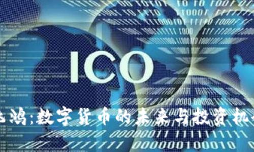 佳讯飞鸿：数字货币的未来与投资机会分析
