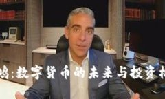 佳讯飞鸿：数字货币的未