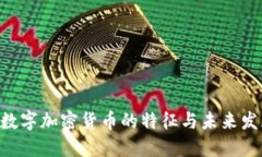 riaoti数字加密货币的特征与未来发展趋势
