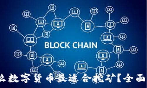   
2023年什么数字货币最适合挖矿？全面分析与推荐