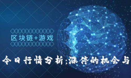 数字货币今日行情分析：涨停的机会与风险解析