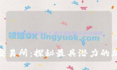 Tokenim独角兽交易所：探秘最具潜力的加密货币交易平台