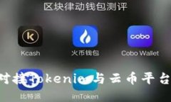 如何成功对接Tokenim与云币