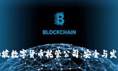 名为《新加坡数字货币托管公司：安全与发展的未来》