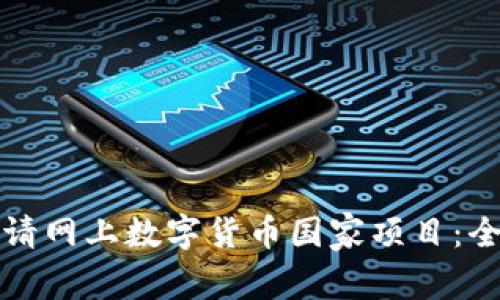 如何申请网上数字货币国家项目：全面指南
