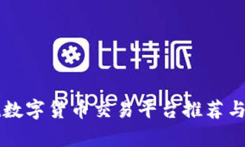 正规数字货币交易平台推荐与分析