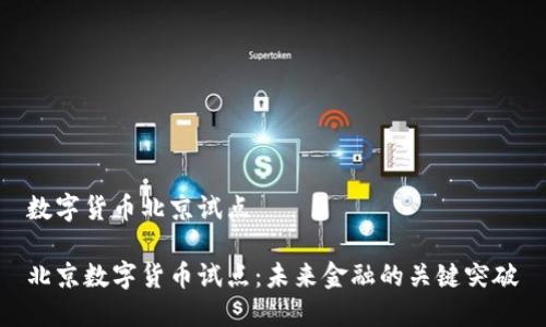 数字货币北京试点

北京数字货币试点：未来金融的关键突破