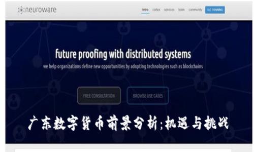 广东数字货币前景分析：机遇与挑战