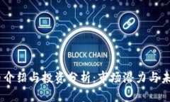 NTTC币介绍与投资分析：市