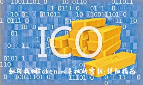 如何找回Tokenim手机的密钥：详细指南
