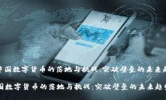 : 中国数字货币的落地与挑