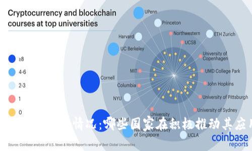 数字货币的全球支持情况：哪些国家在积极推动其应用与监管