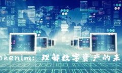 Token Tokenim: 理解数字资产