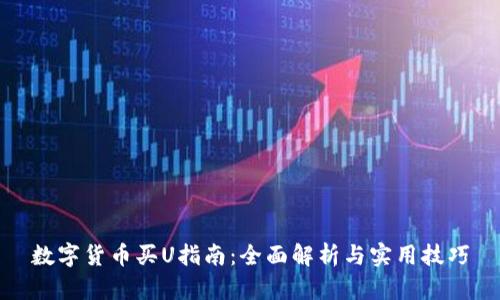 数字货币买U指南：全面解析与实用技巧