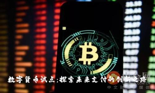 数字货币试点：探索未来支付的创新之路