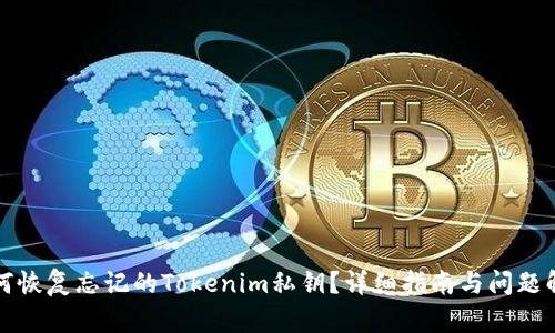 如何恢复忘记的Tokenim私钥？详细指南与问题解答