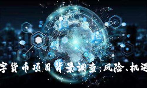 全面解读数字货币项目背景调查：风险、机遇与市场标识