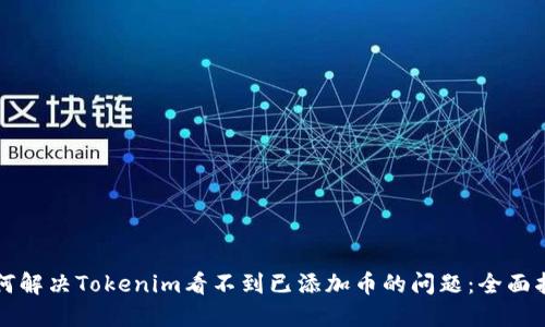 如何解决Tokenim看不到已添加币的问题：全面指南