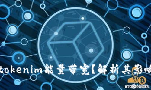 什么是tokenim能量带宽？解析其影响与应用